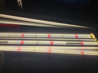 Kaisen LED Grow Lights