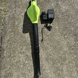 Aoetree AT-9028 Green 20V DC Cordless Leaf Blower With 2 Batteries And Charger