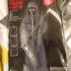 Unknown Phantom Halloween Costume