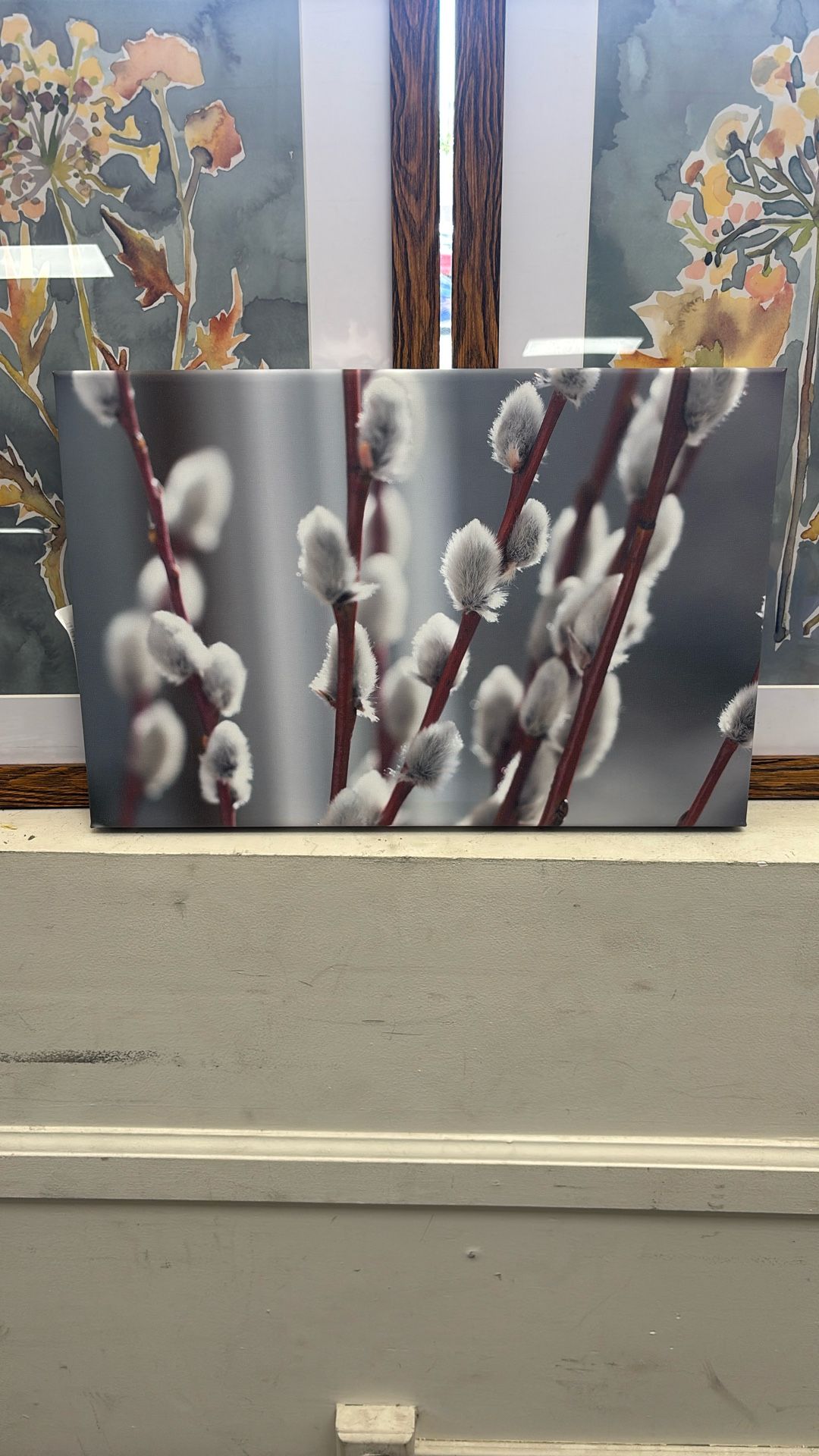 Willow Twigs by Denis1978 - Wrapped Canvas Photograph