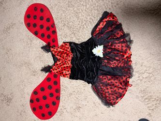 Kids Ladybug Halloween Costume with Wings