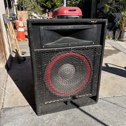 Cerwin Vega DJ Speaker