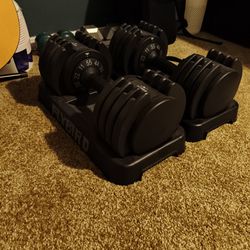 Pair of Adjustable dumbbells By Flybird
