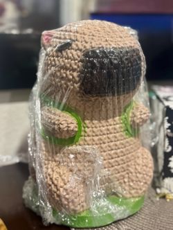 Capybara Piggy Bank Made In Mexico $10 Each 