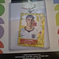Cole Palmer Panini 2026
