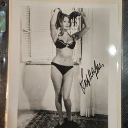 Signed Sophia Loren 8x10 Photo Autograph Picture Hollywood Actress