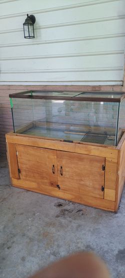 Snake tank