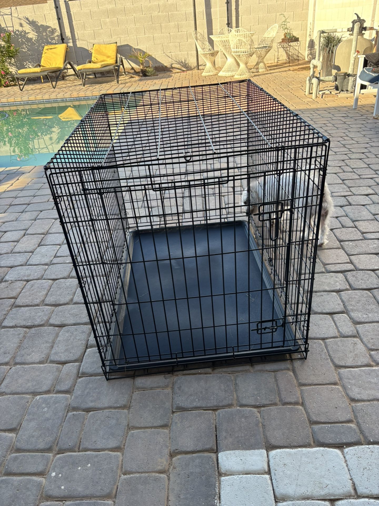Cage Dog XL