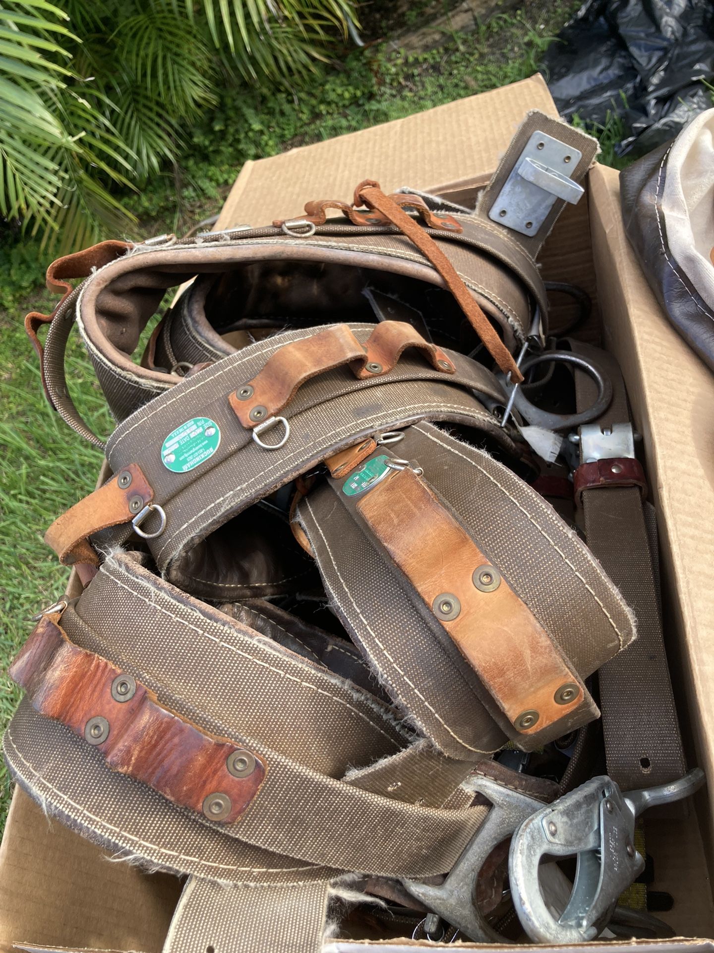 Buckingham Climbing Belts for Sale in Pembroke Pines, FL OfferUp