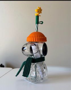 Starbucks x Peanuts Snoopy Glass Cup