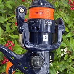 Proficiency Kids Combo