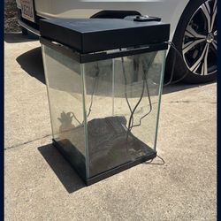 10 Gallon Tank 