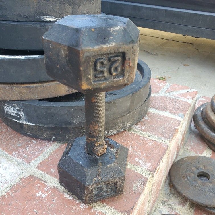 25lb Dumbbell