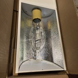 Sunburst grow Light