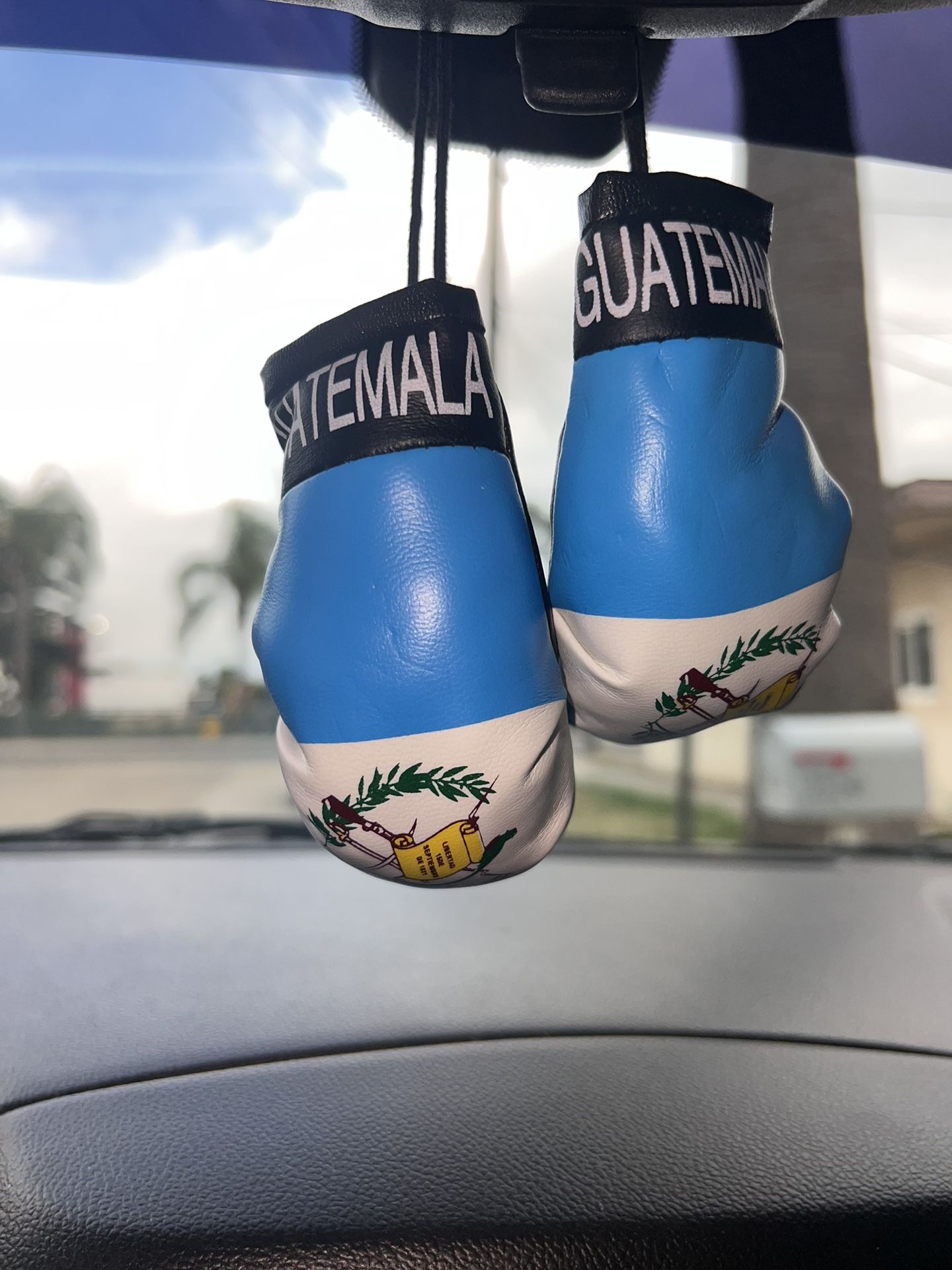 Guatemala Mini Car Boxing Gloves