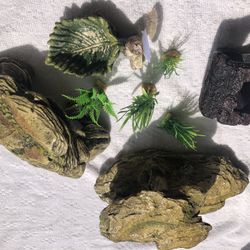 Aquarium Decor (3-10$ Each)