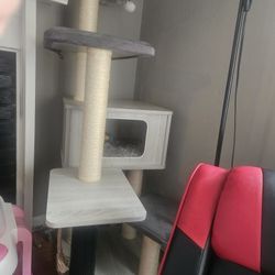 Cat House
