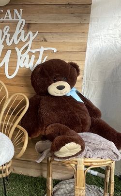 Dark Brown Teddy Bear