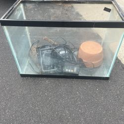 20 Gallon Tank Setup