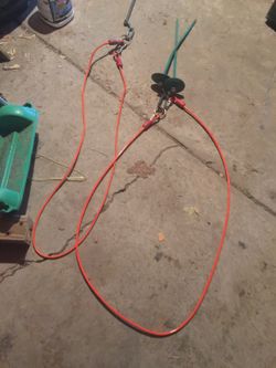 Dog stakes/ tie outs