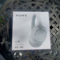 Sony Headphones 