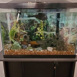 fish tank  for sale (Live fish not included)
