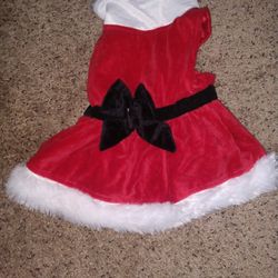 Small Medium Dog Christmas Outfit