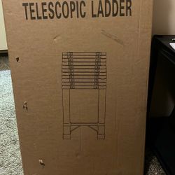 Telescopic Ladder