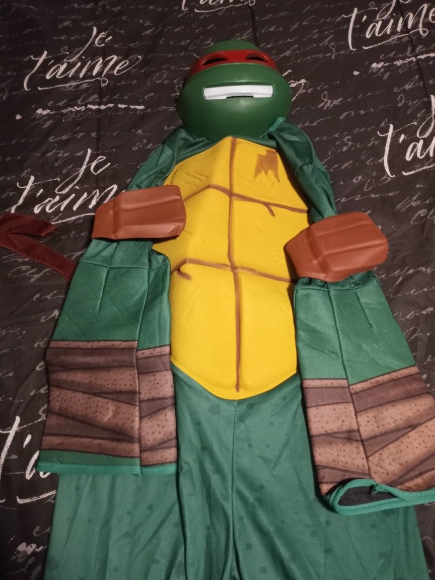 Ninja Turtle Costume 