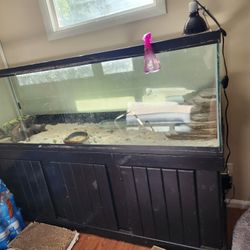 Reptile Tank
