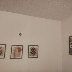 Accent Wall Decor 