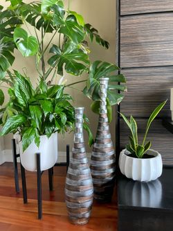 Decorative Metal Vases (Set Of 2)
