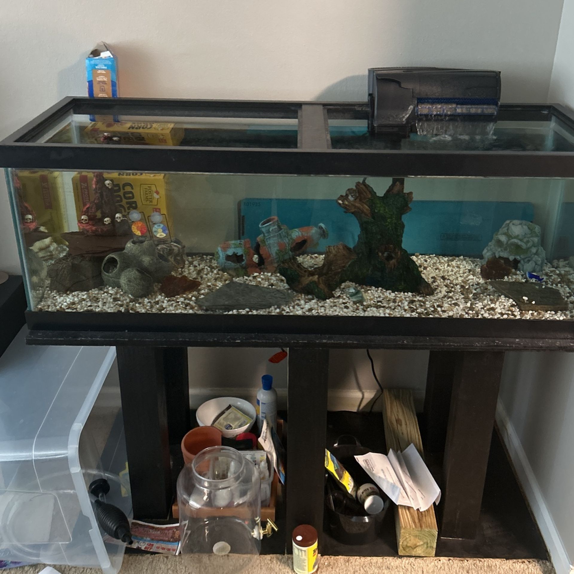 60 Gallon Fish tank Comes With Everything 