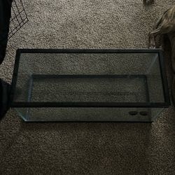 Lizard Or Aquarium Tank 