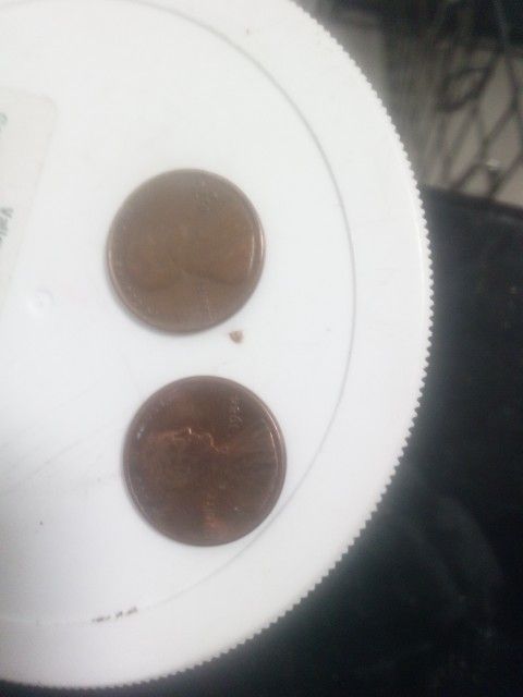 1976D Penny And A 1984 No Mint Mark Penny