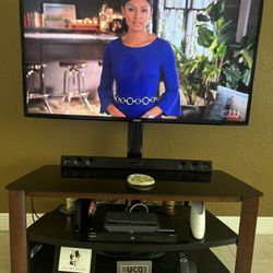 TV Stand Swivel