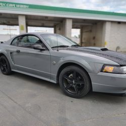 2004 Ford Mustang Gt Manual 