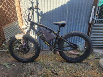 Electric Bicycle