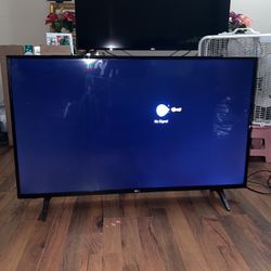 LG 43” TV 