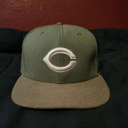 New Era Fitted Hat 