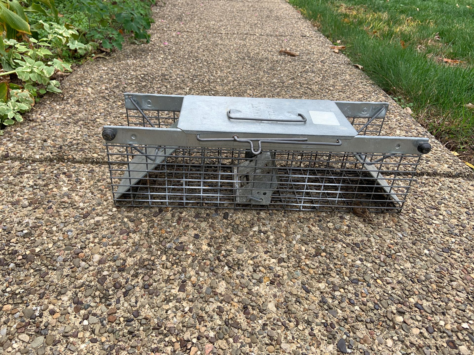 Small animal trap
