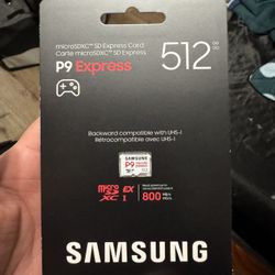 512GB Samsung P9 Express SD Card
