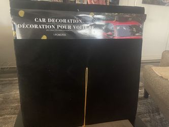 Graduation Cap For Car
