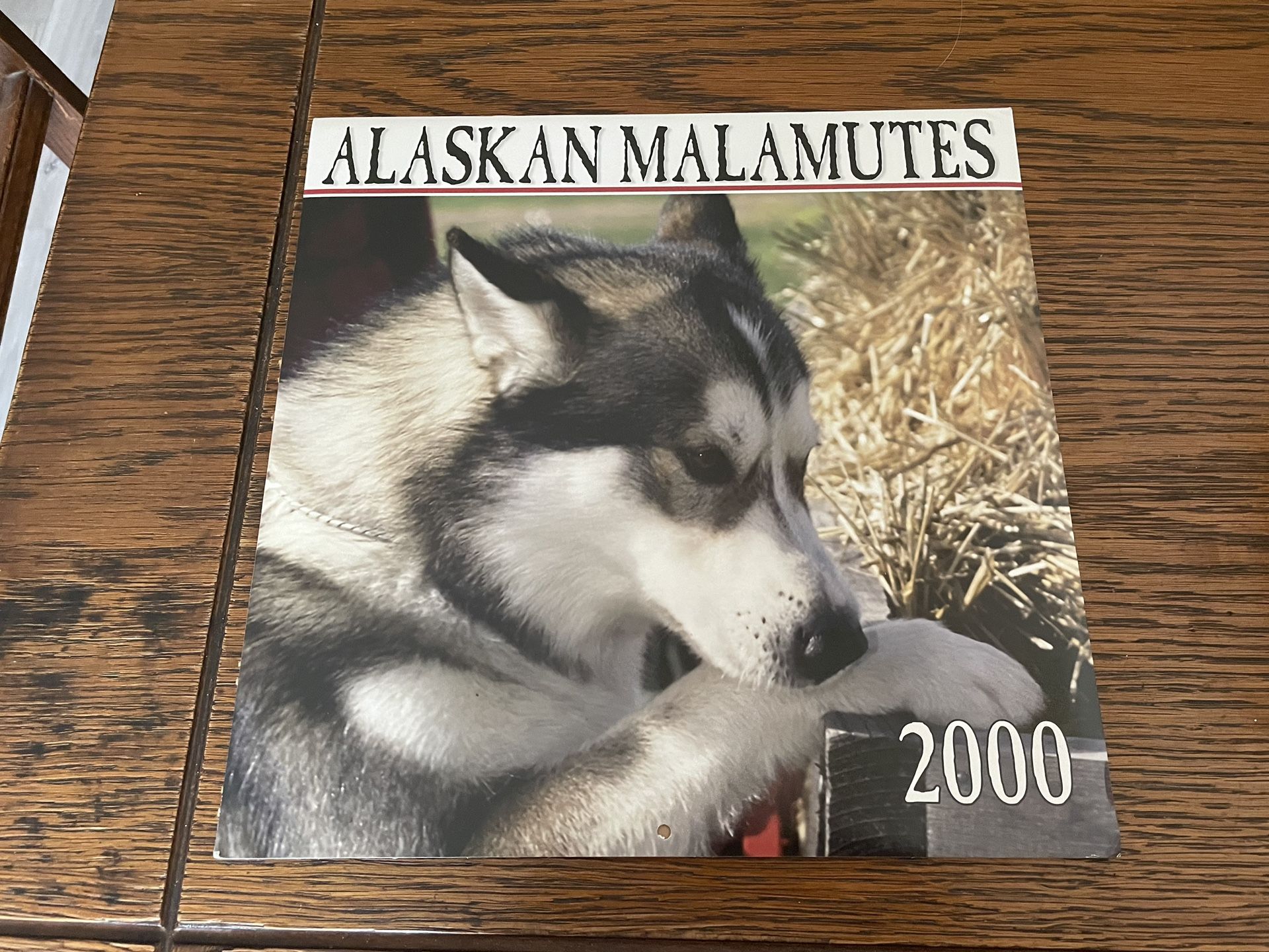 Alaskan Malamute 2000 Calendar 