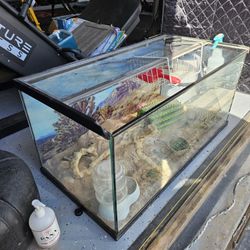 Reptilian/ Turtle/ Snake Tank Etc