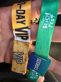 VIP BEACH FEST 3 DAY