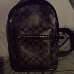 Coach Mens Bag