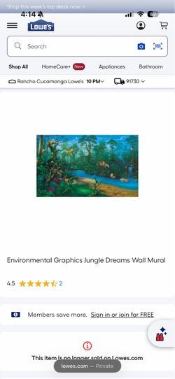 Jungle theme Tropical - safari Wall mural