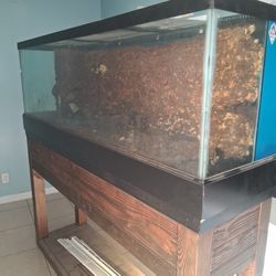 $1=WOWWW/100 gal /AQUARIUM/TERRARIUM