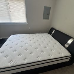 New Queen Size Mattress (Never Used)